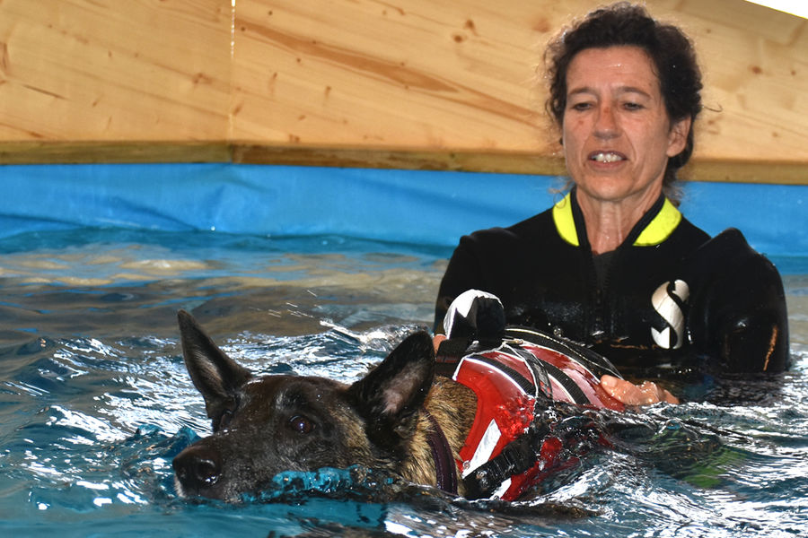 Cornelia Sulzer ist im Neoprenanzug mit einem Hund im Wasserbecken, wo die Wassertherapie stattfindet