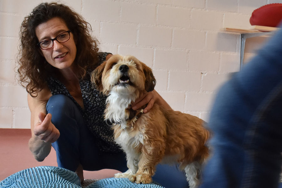 Cornelia Sulzer sitzt während der Stabilisierungstherapie mit dem Hund am Boden