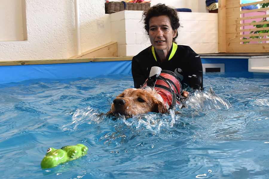 Cornelia Sulzer ist im Neoprenanzug mit einem Hund im Wasserbecken, wo die Wassertherapie stattfindet