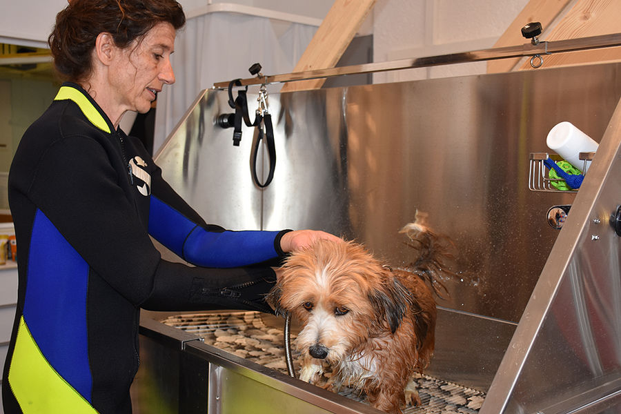 Cornelia Sulzer spült und trocknet den Hund nach der Wassertherapie ab