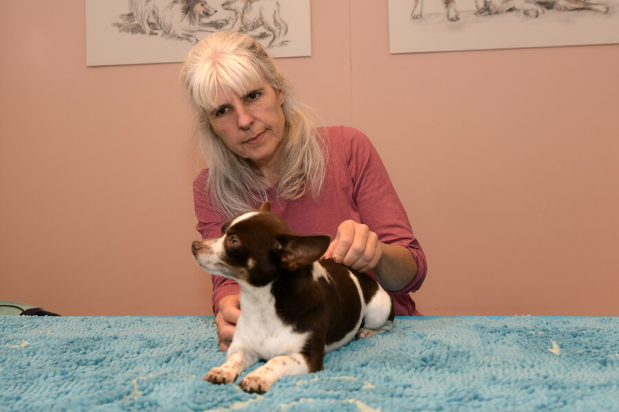 Sandra Boucek untersucht die Wirbelsäule des Hundes