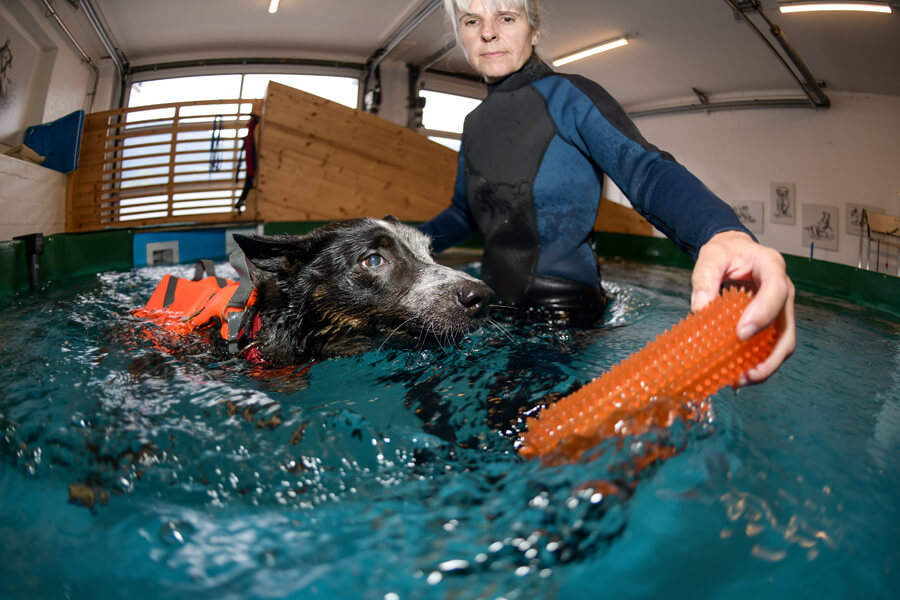 Sandra Boucek ist im Neoprenanzug mit einem Hund im Wasserbecken, wo die Wassertherapie stattfindet